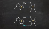 奇怪的DNA