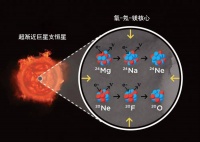 新型超新星确认