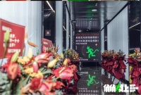 36氪独家 | 前芒果TV《明侦》、《浪姐》制片人何忱离职创业,获腾讯投资
