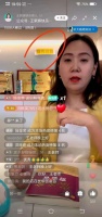 负债1亿的创业败局,是谁的疯狂