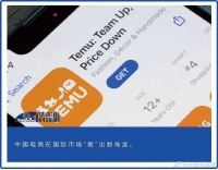 Temu加速出海 ：内卷电商卷出内伤