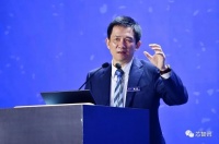 专家:成熟制程芯片不会全面国产化,但去美国化是必须的!