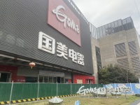 谁是国美的救世主?