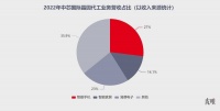 中芯国际最强财报背后，真正挑战尚未到来