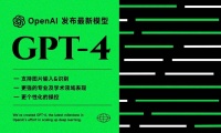 如何打造高绩效的团队?