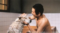 《忠犬八公》,离“内地最强翻拍”差了两口气