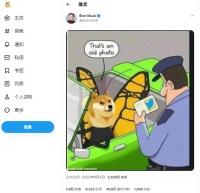 马斯克将 Twitter LOGO 更改为狗狗币形象，其价值增长 20% 以上