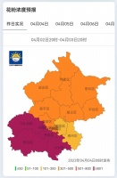 这个春天,他们困在过敏里