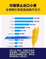 农民不挣钱