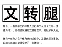 “文转腿”能拯救找不到工作的年轻人吗?
