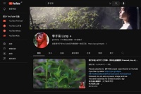 停更近两年,李子柒的YouTube频道还能月入几十万?