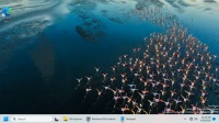 微软 Win11 任务栏“永不合并”功能将回归，演示视频曝光