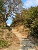 花360元租了块地,我在深圳做周末菜农