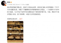 小米王化回应13 Ultra可变光圈晃动问题:正常物理现象,放心使用