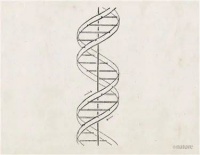 《自然》中的科学史:DNA双螺旋结构发现70周年
