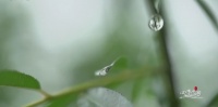 广东已经准备入夏,山西竟然下暴雪了?