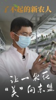 了不起的新农人|让一朵花 “美”向东盟