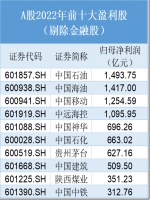 2022年谁最赚钱?九大公司净利超千亿