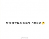 万能充提名第一,还有人人网、聚美优品等,大家觉得还有哪些?