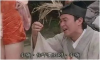 讨人厌的蟑螂,为什么适应能力那么强?