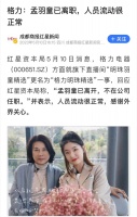 “第二个董明珠”