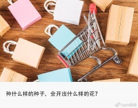 独家 | 淘系首次参战,电商玩家齐聚微信里“挖呀挖”