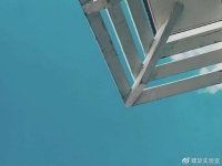 美团直播,做给谁看?