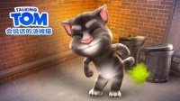 汤姆猫与西湖心辰团队已在联合推进人工智能交互产品研发工作