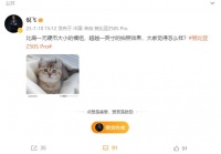 努比亚Z50S Pro手机开始预热:超越 1 英寸的拍照效果,7 月发布