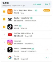 拼多多Temu上线300天,危机浮出水面
