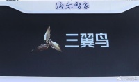 概念虚幻的“三翼鸟”,不太聪明的样子