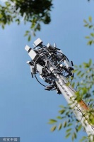 “中国3个月数量远超美国两年”