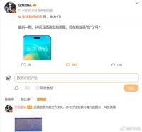 华为Mate60 Pro再次浮出水面:灵动岛设计更清晰,并有鸿蒙OS加持