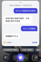 绿厂，不，黑厂的小布助手好像不太聪明的样子