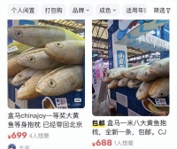 盒马上市前最后的狂欢:疯狂拓店,“三驾马车”悄悄下沉