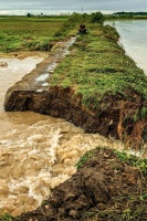 遭受洪灾的黑龙江，对中国到底有多重要？