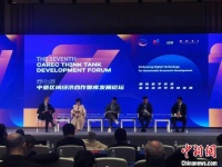 中亚专家学者：中国数字领域发展经验值得借鉴 将助推区域经济合作
