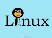 为啥Linus 一个人就能写出这么强的系统，中国却做不出来？