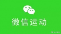 建议明天把微信步数关一下,把单身狗解放了