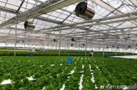 未来已来！互联网+种植业如何赋能农业转型升级（附突破路径）