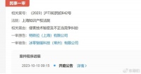 马斯克盯上了雷军？特斯拉起诉小米持股公司
