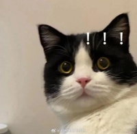 你每天刷手机时间长吗?