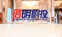 降职降薪！启明创投严肃处理“尽调违规”事件