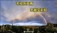 华为被制裁的几年，为啥其他国产厂商不能做出爆火的Mate60Pro？