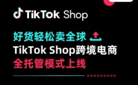 TikTok印尼惊魂夜:600万卖家,惨遭“一锅端”