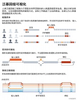 瞬息全碱基：为什么要研究泛基因组？