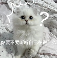 话题下又出现了经典的“受害者有罪论”风向……