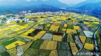 农业行业观察(10月22日)我国大多数预制菜企业是作坊式生产