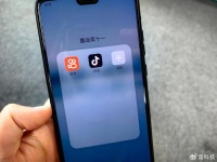 今年双11,抖音快手不想再当配角