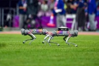 杭叉集团,新能源车之风刮到了物流仓储